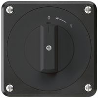 UP-Schwenktaster robusto IP55 schwarz 2P für Kombination