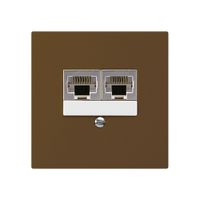 UP-Dose kallysto 2×RJ45s getrennt braun