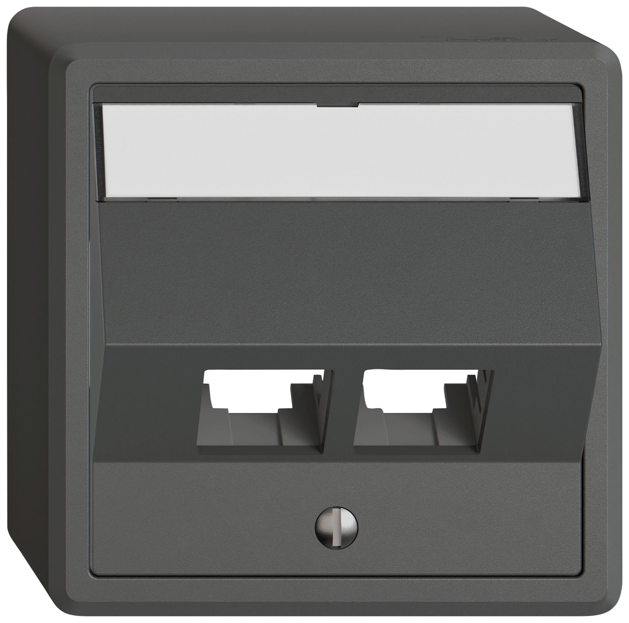 AP-Montageset EDIZIO.liv EASYNET S-One SNAPFIX® schräg 2×RJ45 dgu