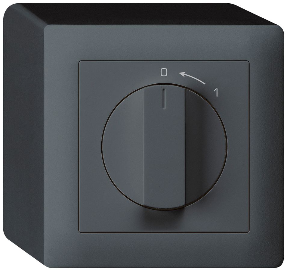 AP-Schwenktaster 0<-1/1L anthrazit kallysto mit Drehgriff