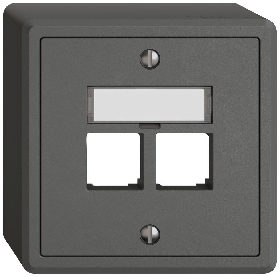 AP-Montageset EDIZIO.liv EASYNET S-One SNAPFIX® gerade 2×RJ45 dgu