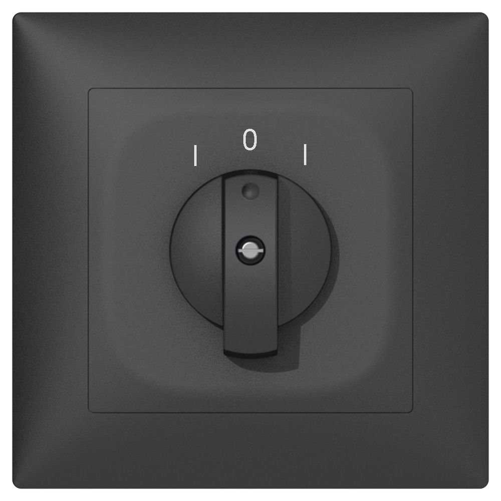 Pulsante rotativo INC SIDUS B 2CL antracite