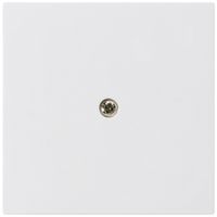 Frontplatte kallysto blind weiss 60×60mm