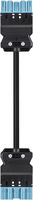Spina/presa Wieland 3m 5L blu, 1.5mm²