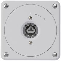 UP-Schlüsselschwenktaster robusto grau o.Deckel o.Zylinder 2P für Kombination