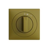 Frontset EDIZIOdue 0<-1 olive 60×60mm für Schwenktaster