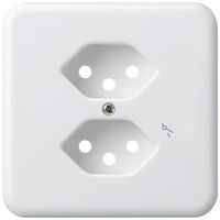 Abdeckplatte Gr.I 2×Typ 13/1 basico weiss