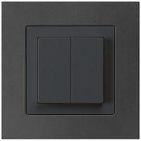 UP-Taster kallysto.pro AR 2L schwarz