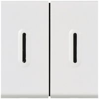 EB-Wipptaster MOS 2×AR 6A weiss 2 Module