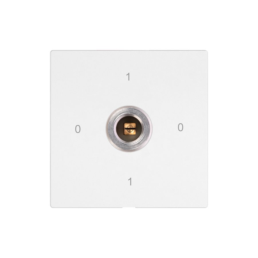 Schlüsselschalter EDIZIO.liv 1P Vierkant/Schlitz 20A 690V 0-1-0-1 Rundsch.ws