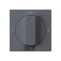 Frontset für Drehschalter S2 anthrazit 60×60mm kallysto 0-1-0-2