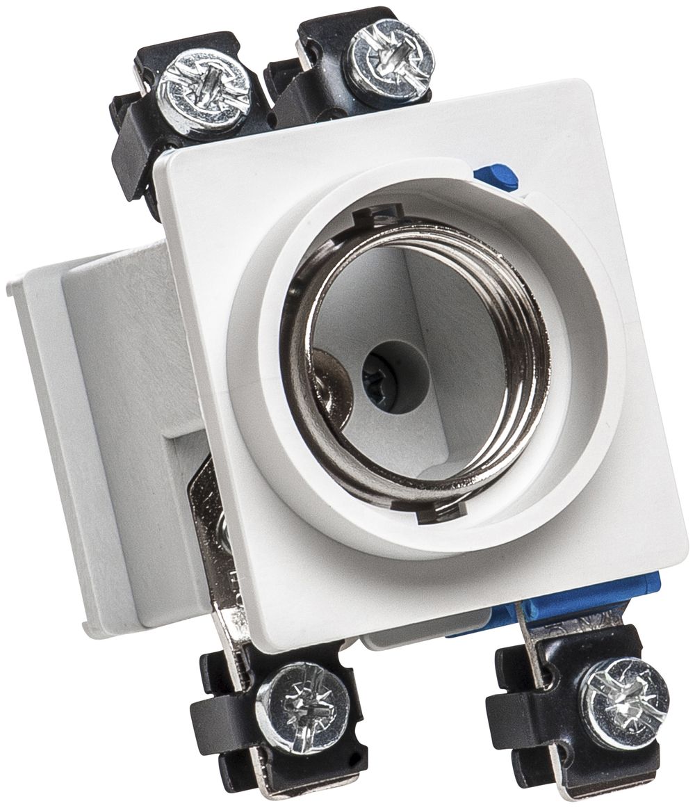 EB-Sicherungselement Schneider Electric 1×25A+N 48×45 rund