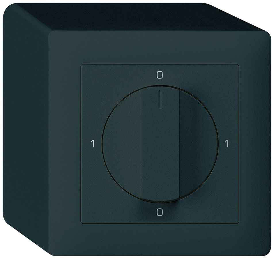 AP-Drehschalter kallysto 2/1L schwarz 0-A-0-H mit Drehgriff
