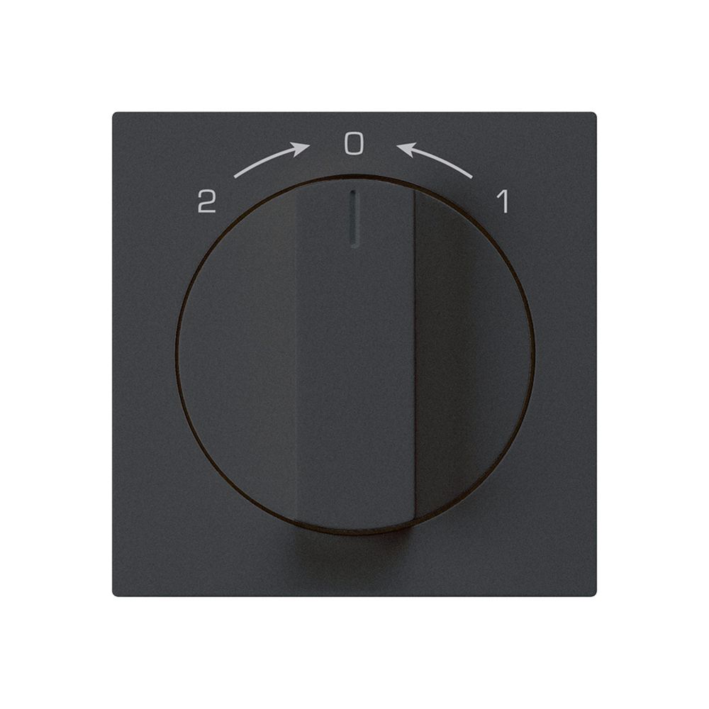 Schwenktaster 1->0<-2 schwarz kallysto mit Drehgriff
