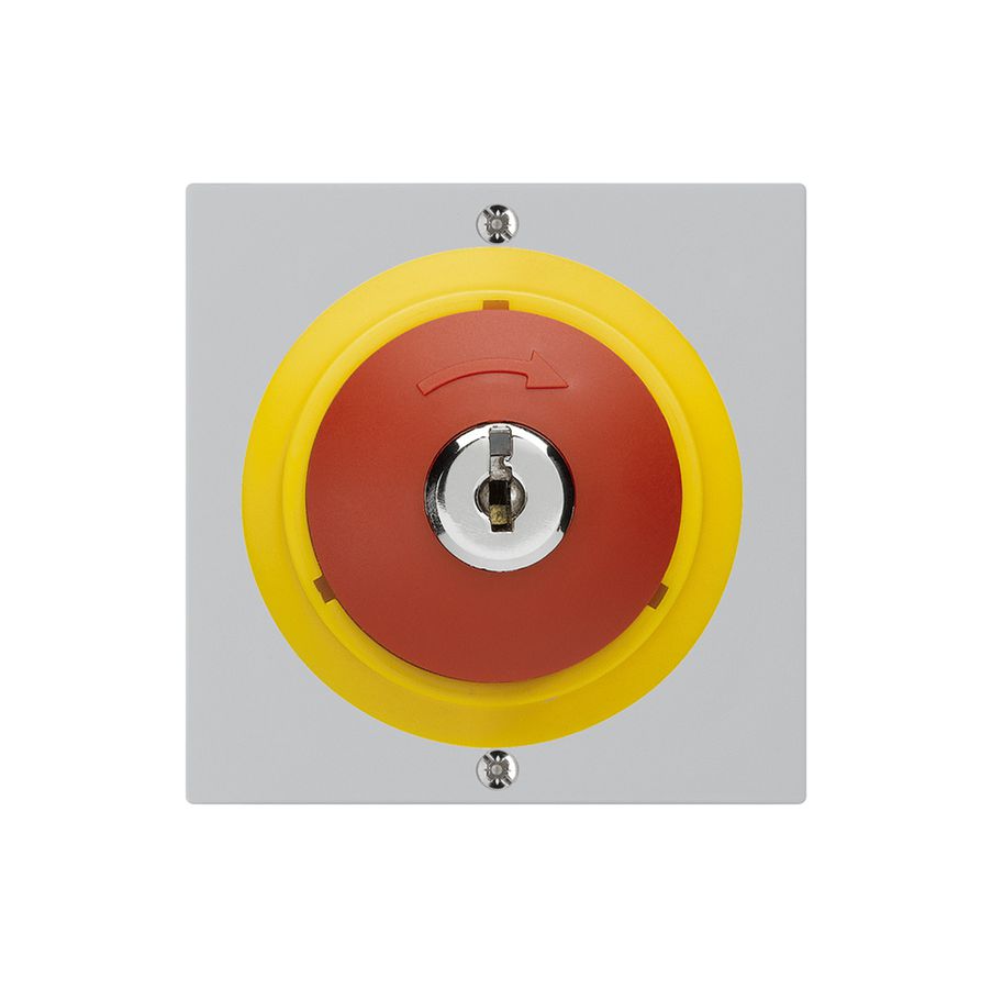 Schlüsseltaster kallysto NOT-AUS hellgrau