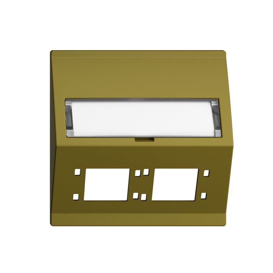 Kit montage INC EDIZIOdue F sortie oblique 2×R&M cat.6A/LC spécial, olive