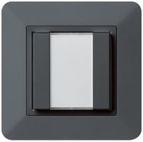 UP-Universaltaster 2×kallysto.trend mit LED anthrazit