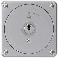 UP-Schlüsselschwenktaster robusto aluminium ohne Deckel 2P