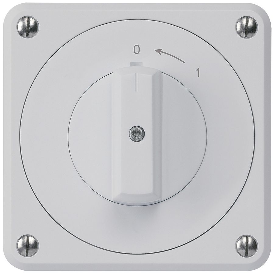 UP-Schwenktaster robusto IP55 grau 1P für Kombination