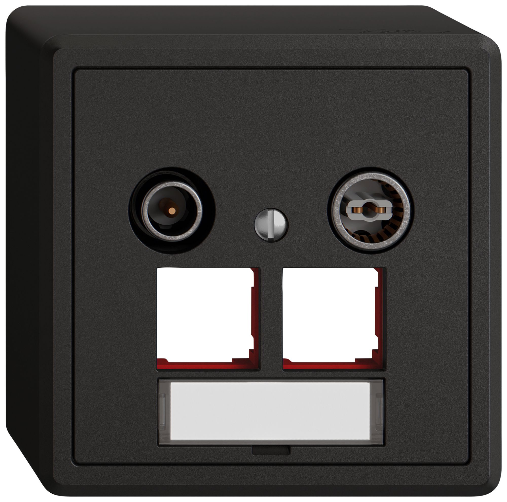 Prise multimédia AP TV-R EDIZIO.liv SNAPFIX® EASYNET p.2×RJ45 S-One 4dB no