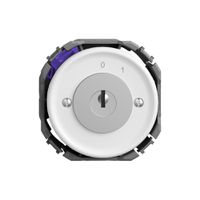 Interruttore a chiave STANDARDdue c.1007F/631984 rit.cont.sep.1P 0-1 p=57mm bi