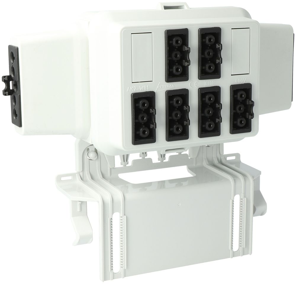 Boîtier AGRO, in: 5P no, out: chacun 2×3P no L1/L2/L3, Wieland