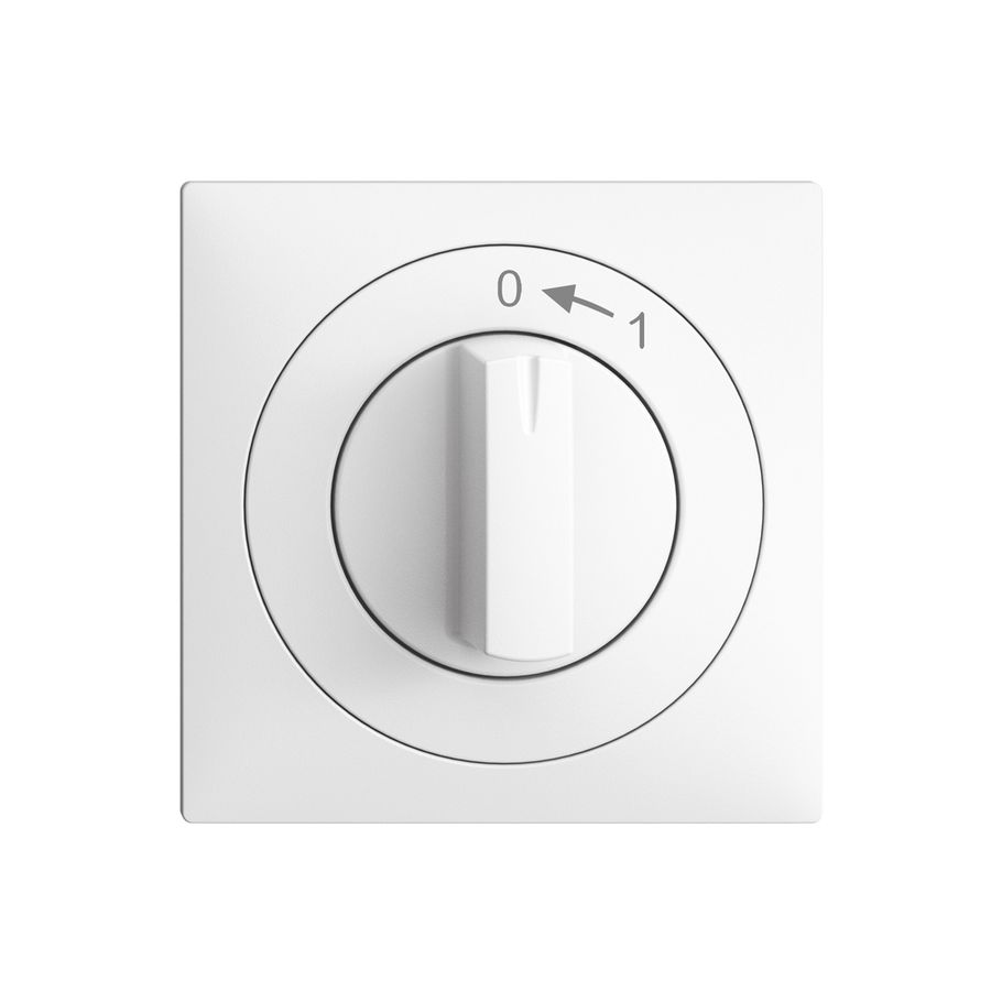 UP-Schwenktaster 0<-1/2P EDIZIOdue weiss mit Drehgriff