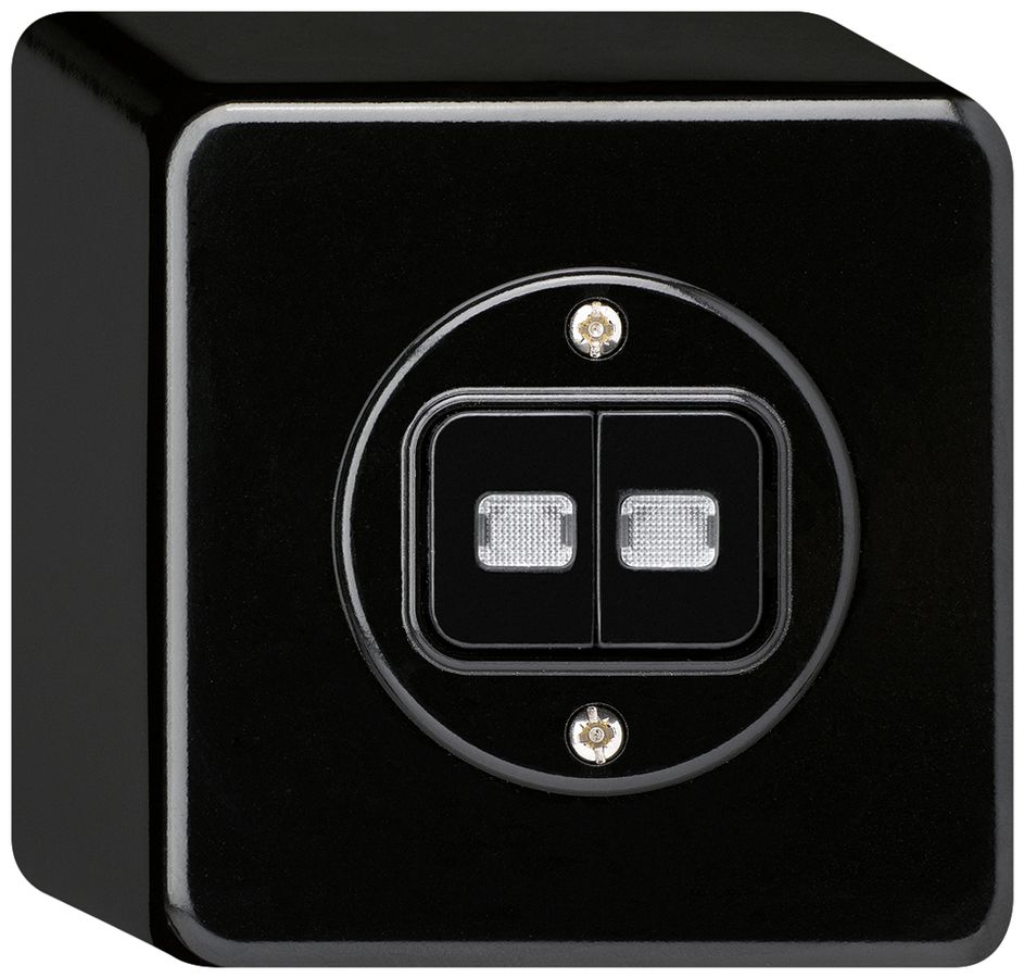 AP-Leuchtdruckschalter basico 1/3+3/1L mit 2 Linsen schwarz