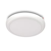 Pizza R33 CCT, EXIT IP54 CCT 3000K 4000K 5700K 2250lm