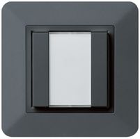 UP-Multifunktionstaster kallysto.trend KNX RF 2-fach anthrazit