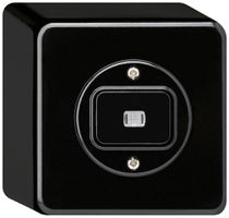 AP-Leuchtdrucktaster basico L-AR/2L schwarz