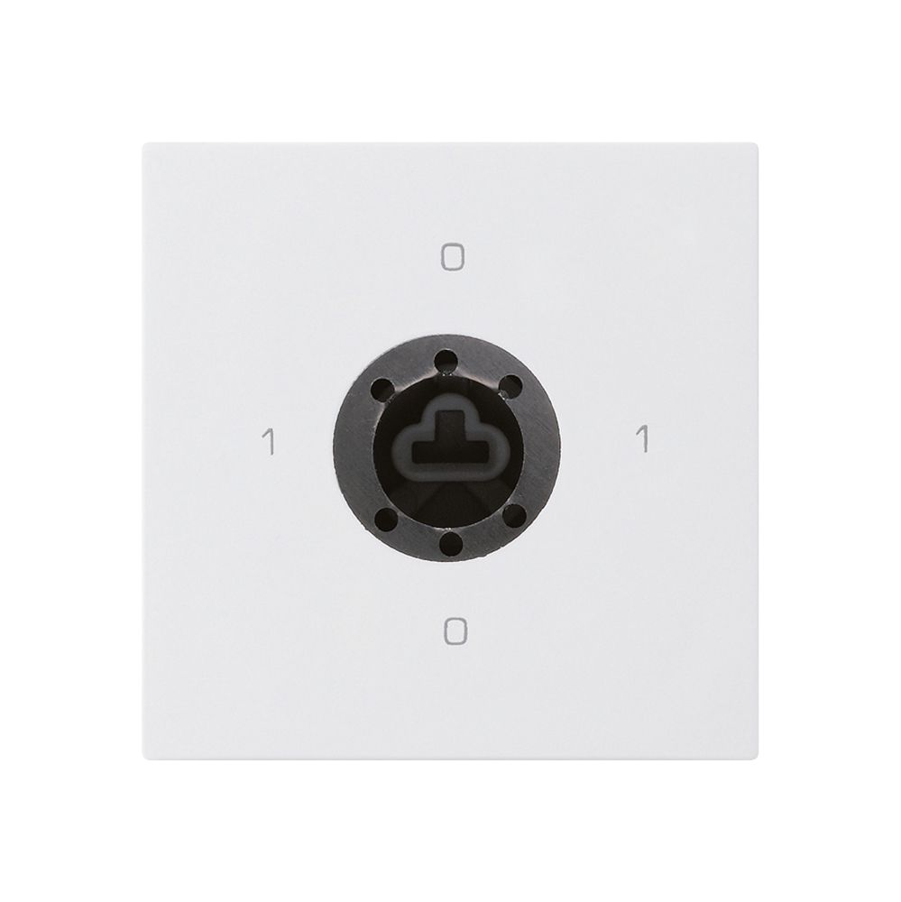 Einsatz zu Schlüsselschalter kallysto 0/1L weiss f.Sicherheitsschloss o.Zylinder