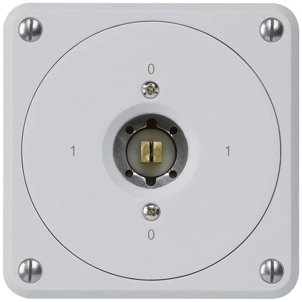 Interrupteur à clé carrée ENC robusto sans clapet 0/1P gris combi