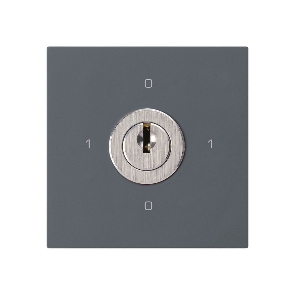 Einsatz zu Schlüsselschalter kallysto 0/3L anthrazit mit Schloss Kaba 8