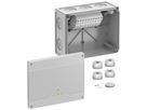 Scatola di derivazione AP Spelsberg Abox SL-16² 202×252×120mm IP66 gr