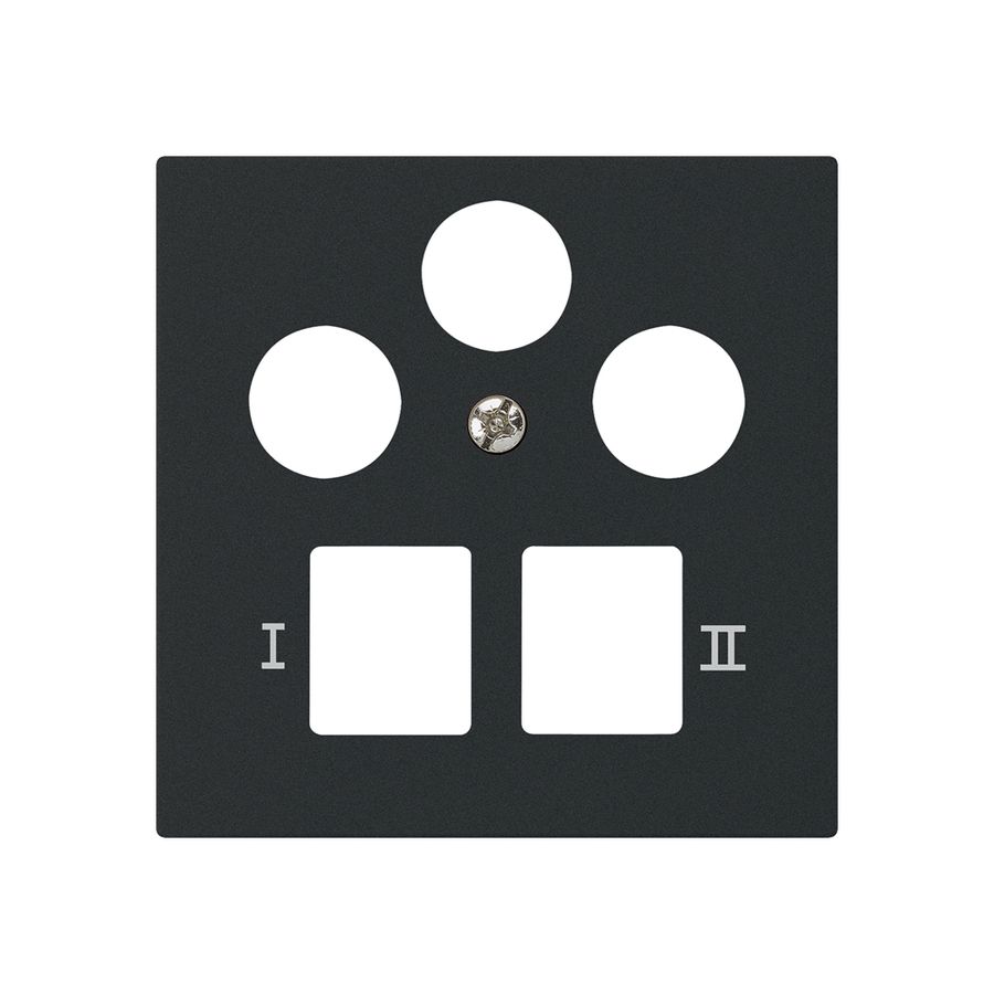 Plaque frontale kallysto pour R&M HWS noir 3 trous SAT multimédia