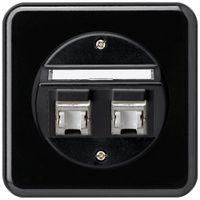 UP-Einsatz basico C Kat.6 2×RJ45/s Schrägauslass schwarz