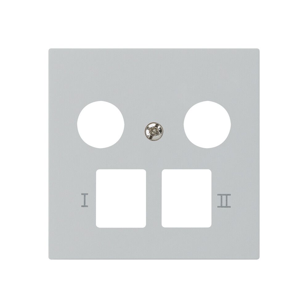 Placca frontale kallysto per R&M HWS grigio chiaro 2 fori multimedia
