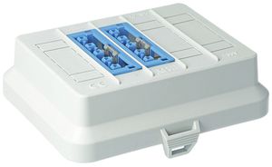 Frontteil AGRO AT7739, für AK2, 2×WINSTA MIDI 5P DALI blau, 125×100mm