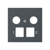 Placca frontale kallysto per R&M HWS antracite 2 fori multimedia