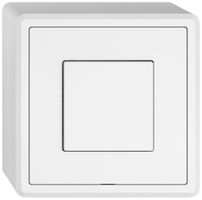 Stazione sec.interruttore AP EDIZIO.liv Wiser SNAPFIX® 1 canale 1 tasto bi