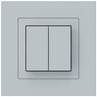 Funktaster Friends of Hue KPR, 4×, 94×94mm, hellgrau