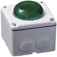 Blitzleuchte Hugentobler Typ 18 NAP 230VAC grün