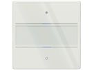Sensore pulsante KNX INC Theben iON 102 G LED c.campo per iscrizione bianco
