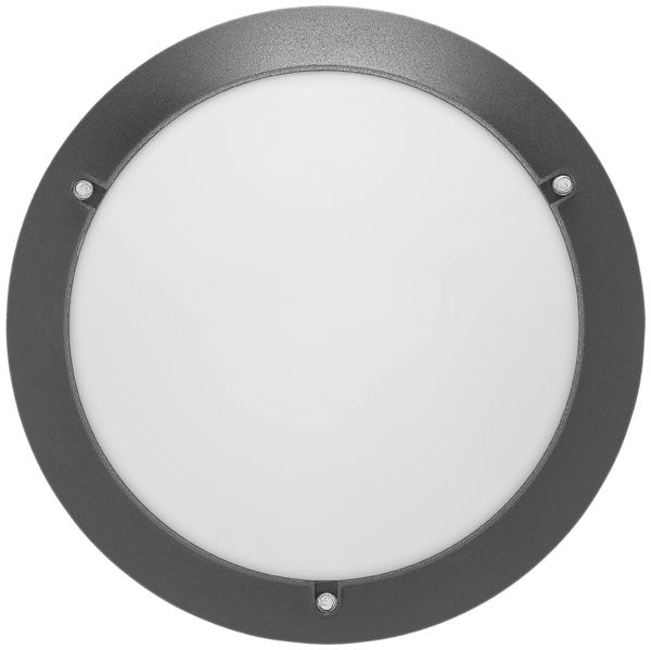 LED-Decken-Wandleuchte INFINI 1000lm 14W ON/OFF Ø322mm vandalensicher anthrazit