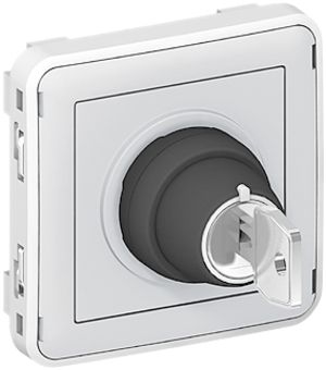 Interrupteur rotatif PLEXO 0-I avec serrure de sûreté gris