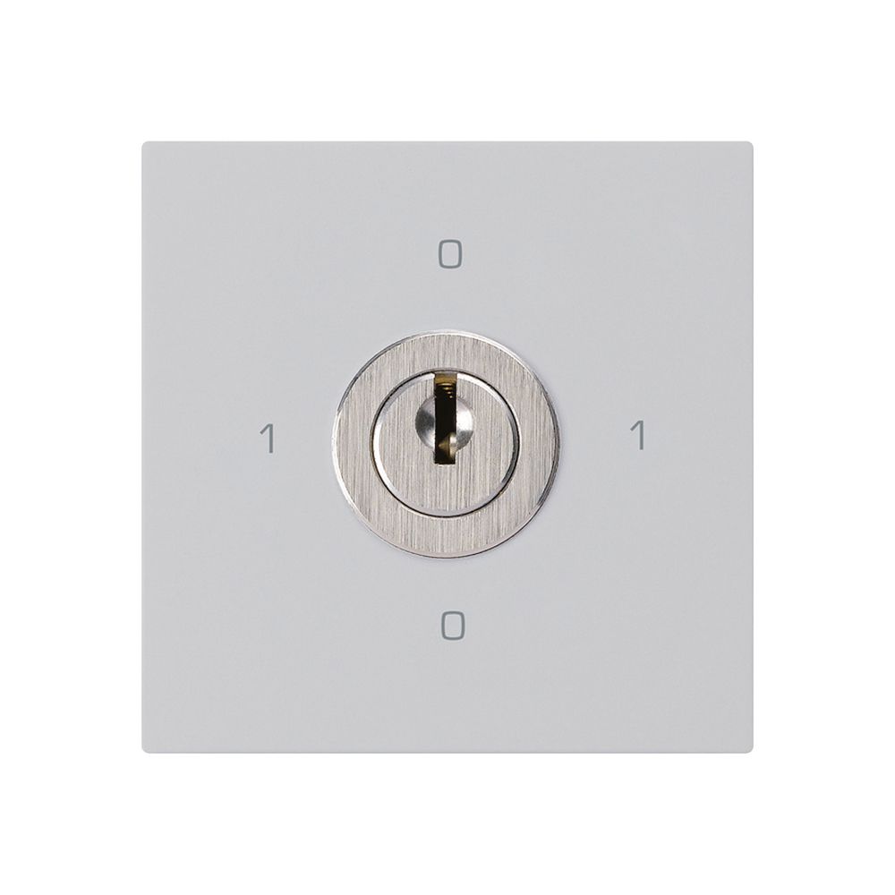 Intérieur interrupteur à clé kallysto 0/2L gris clair avec serrure Kaba 8