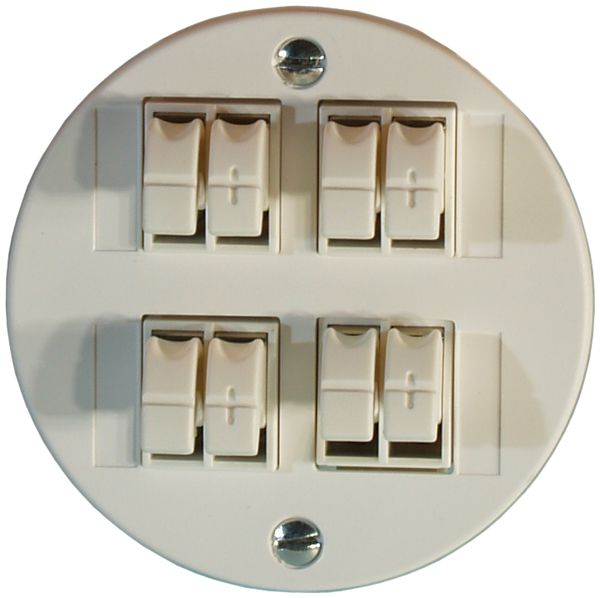 Prise audio Standard P 4×blanc borne étrier pour 4 haut-parleur