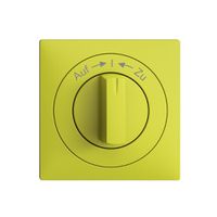 Frontset EDIZIOdue Auf->I<-Zu lemon 60×60mm für Schwenktaster