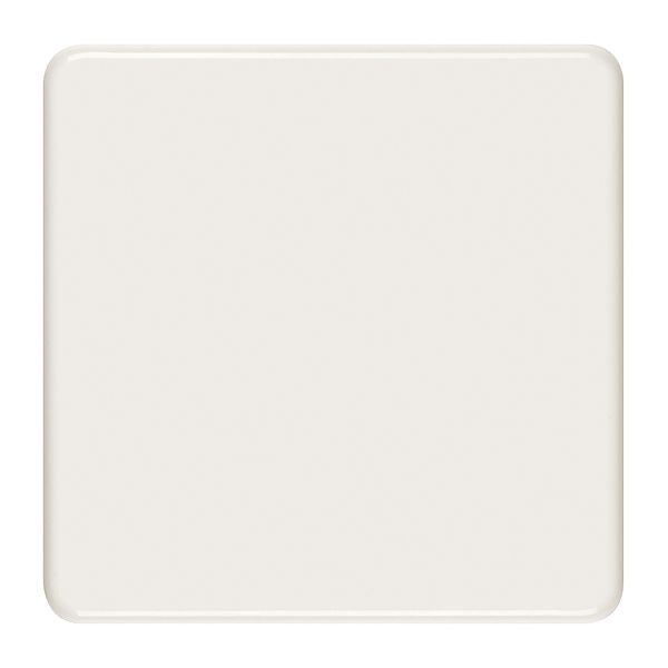 Abdeckplatte 2×2 blind weiss